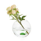 Vase Atlantis Turtle