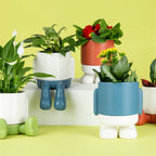 Mr. Standy Plant Pot