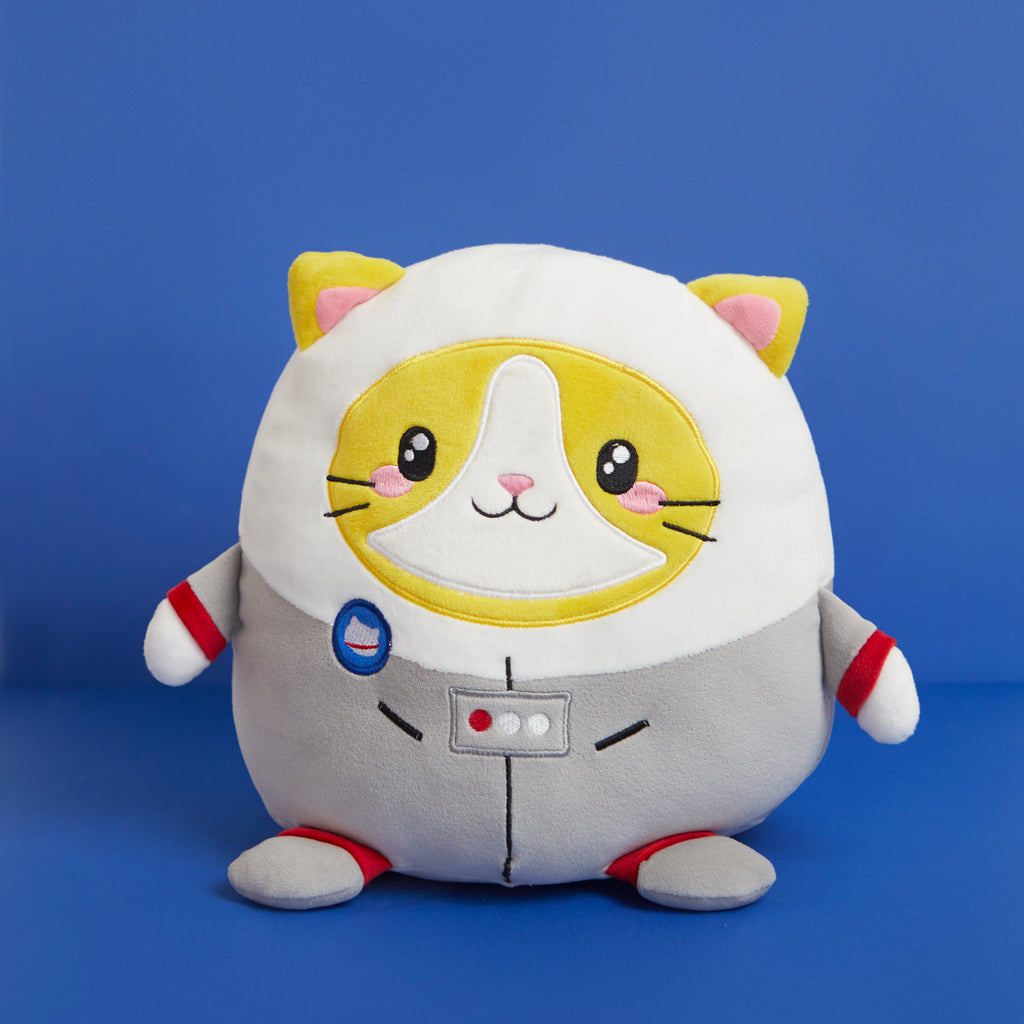 Fluffy Astrocat Cushion