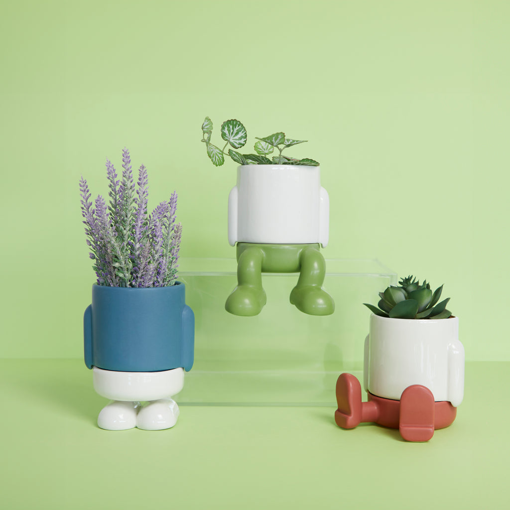 Mr. Sitty Mini Plant Pot