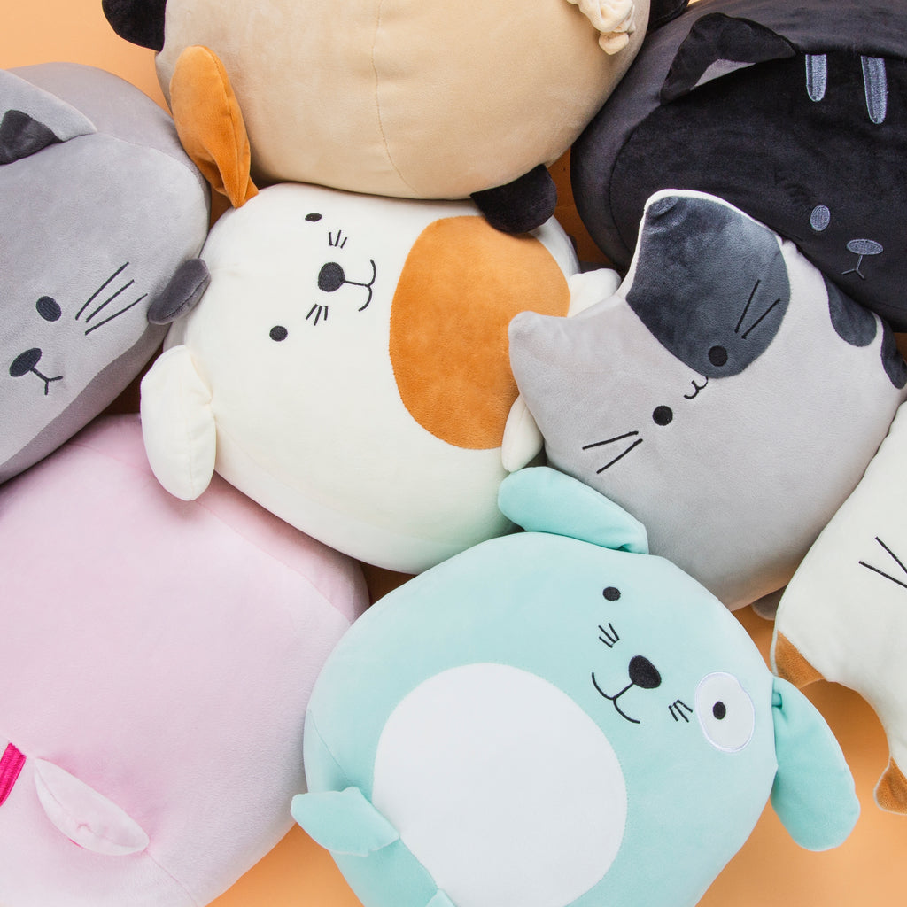 Kitty Cushion