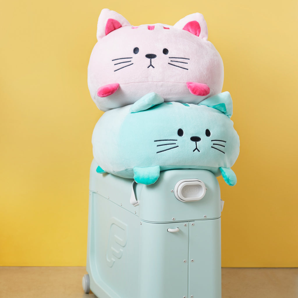 Kitty Cushion