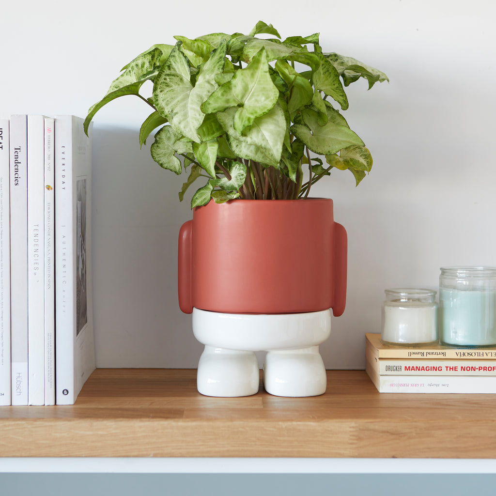 Mr. Standy Plant Pot