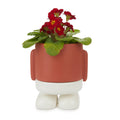 Mr. Standy Plant Pot