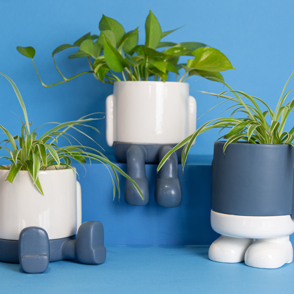 Mr. Standy Plant Pot