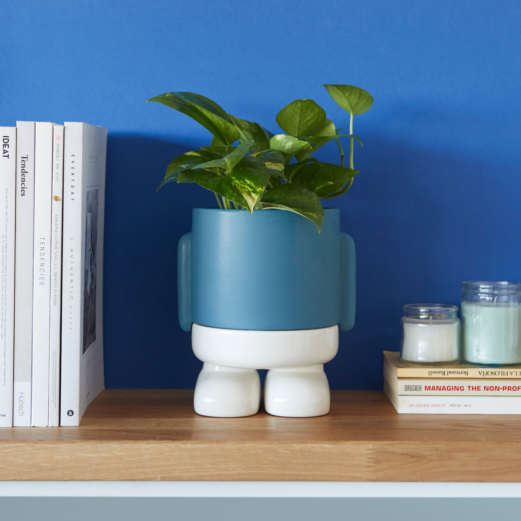 Mr. Standy Plant Pot