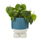 Mr. Standy Plant Pot