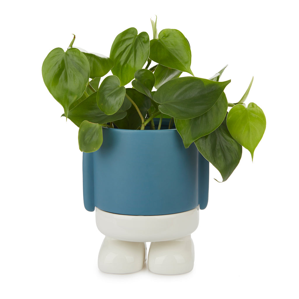 Mr. Standy Plant Pot