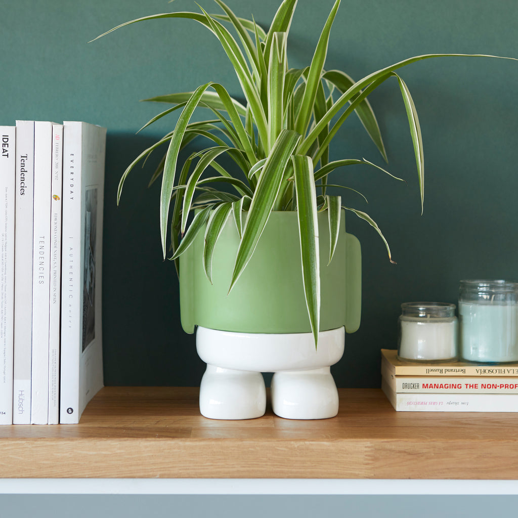 Mr. Standy Plant Pot