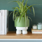 Mr. Standy Plant Pot