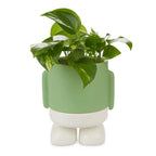 Mr. Standy Plant Pot