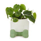 Pot de fleurs Mr. Sitty