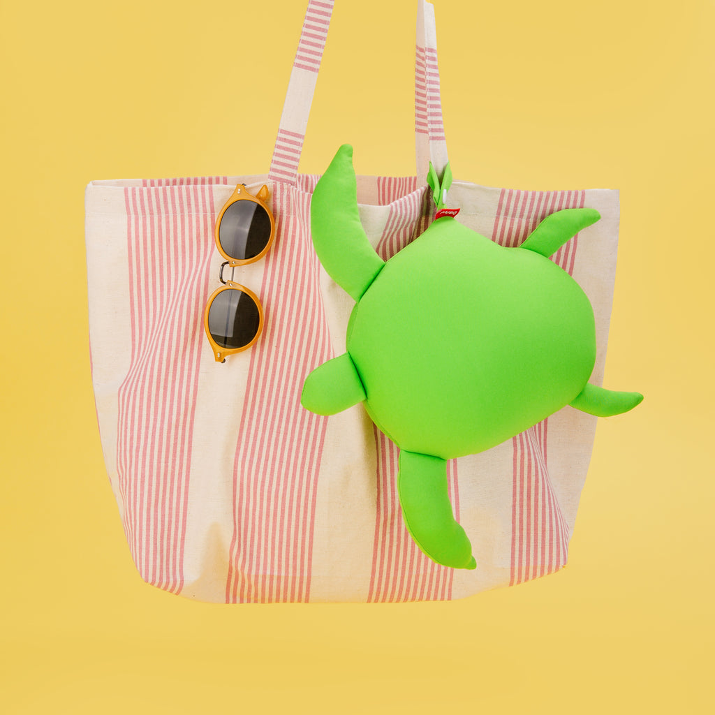 Summer Turtle Cushion