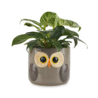 Pot de fleurs Owl