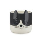 Kitty Plant Pot