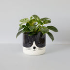 Kitty Plant Pot
