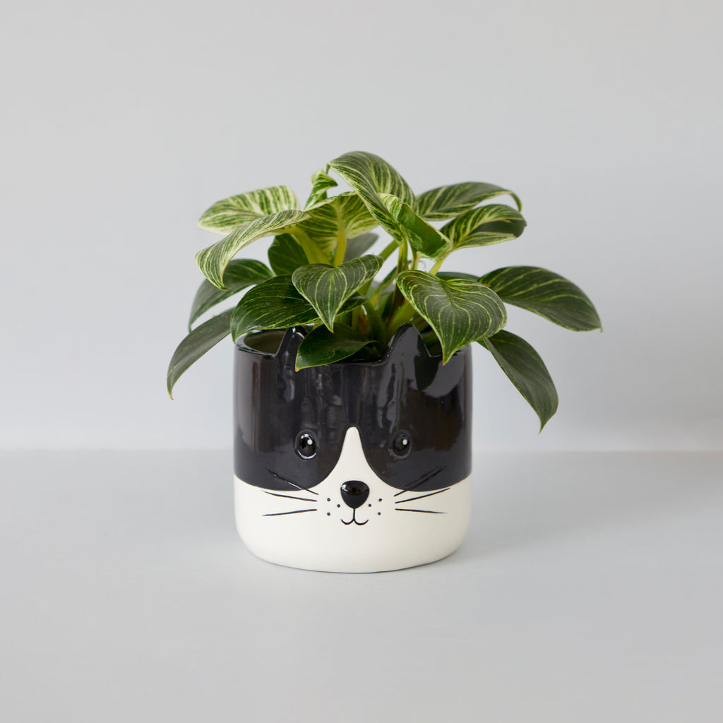 Kitty Plant Pot