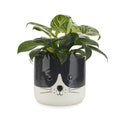 Kitty Plant Pot