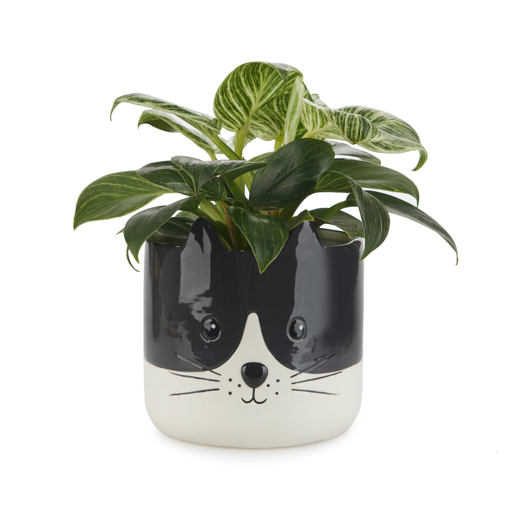 Kitty Plant Pot