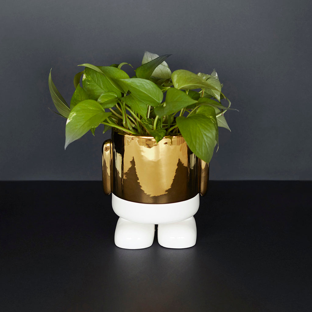 Mr. Standy Plant Pot