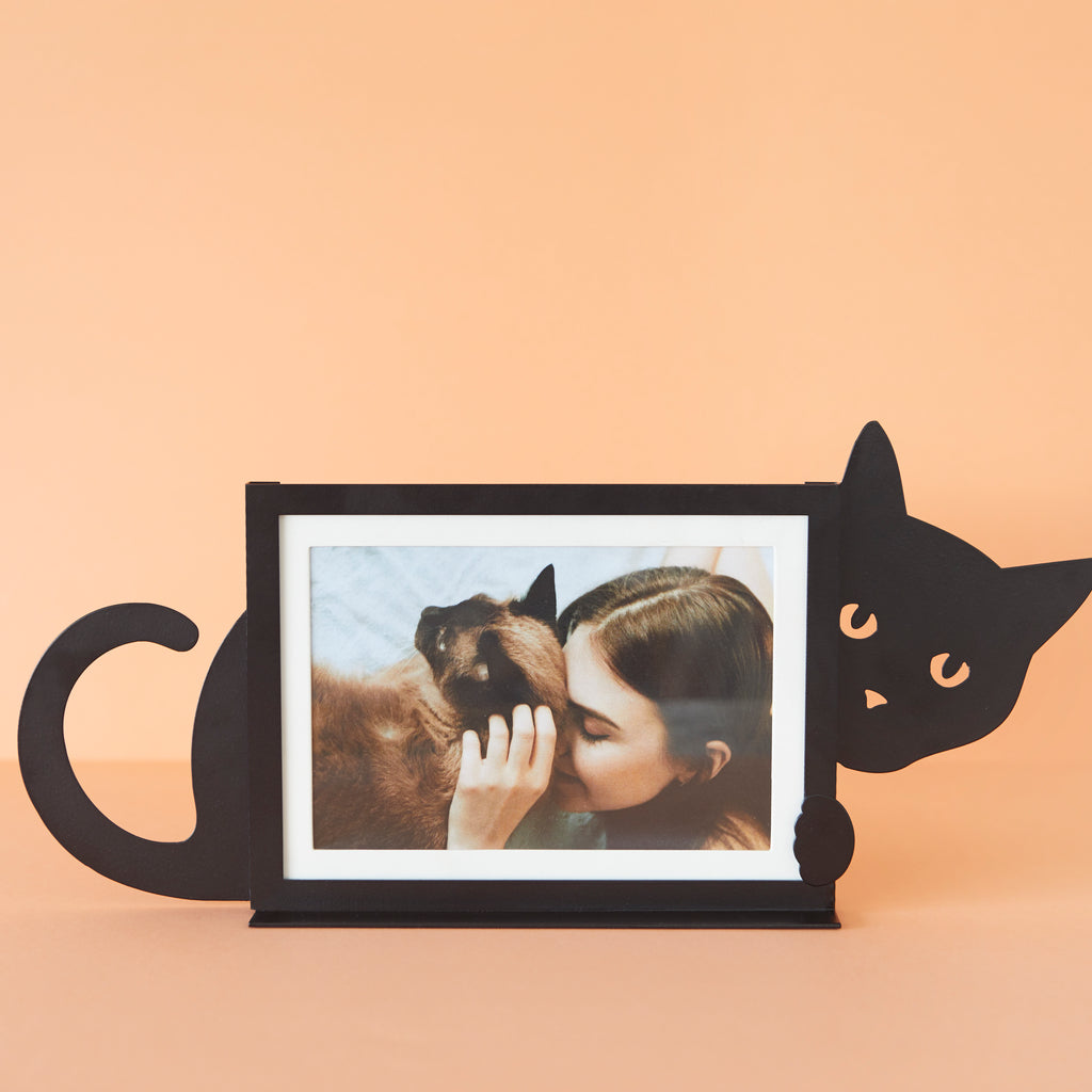 Hidden Cat Photo Frame