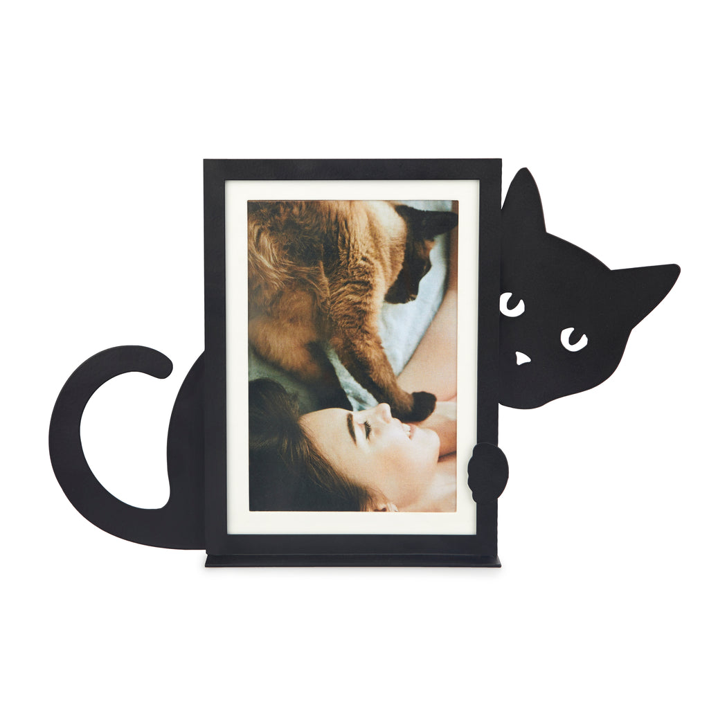 Hidden Cat Photo Frame