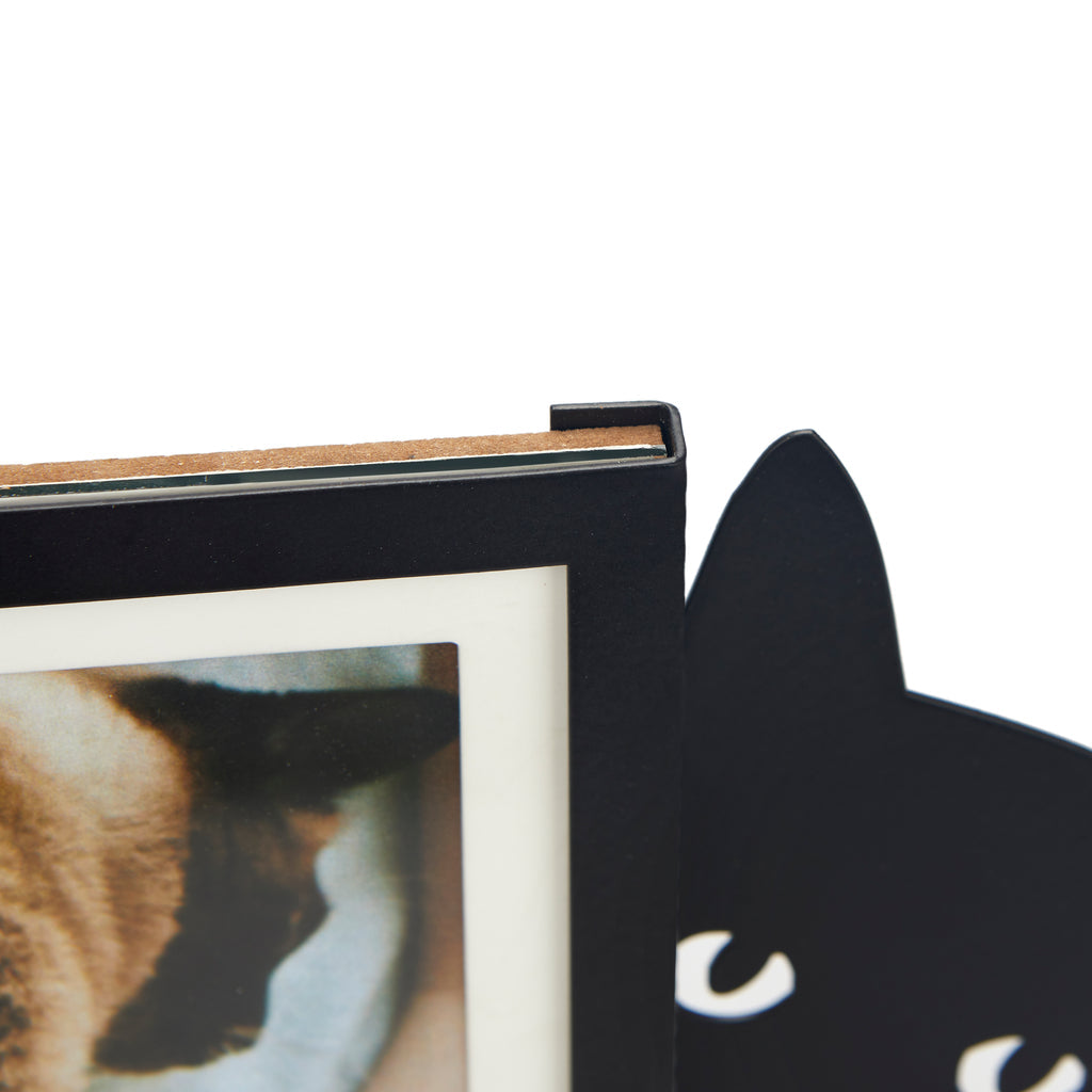 Hidden Cat Photo Frame