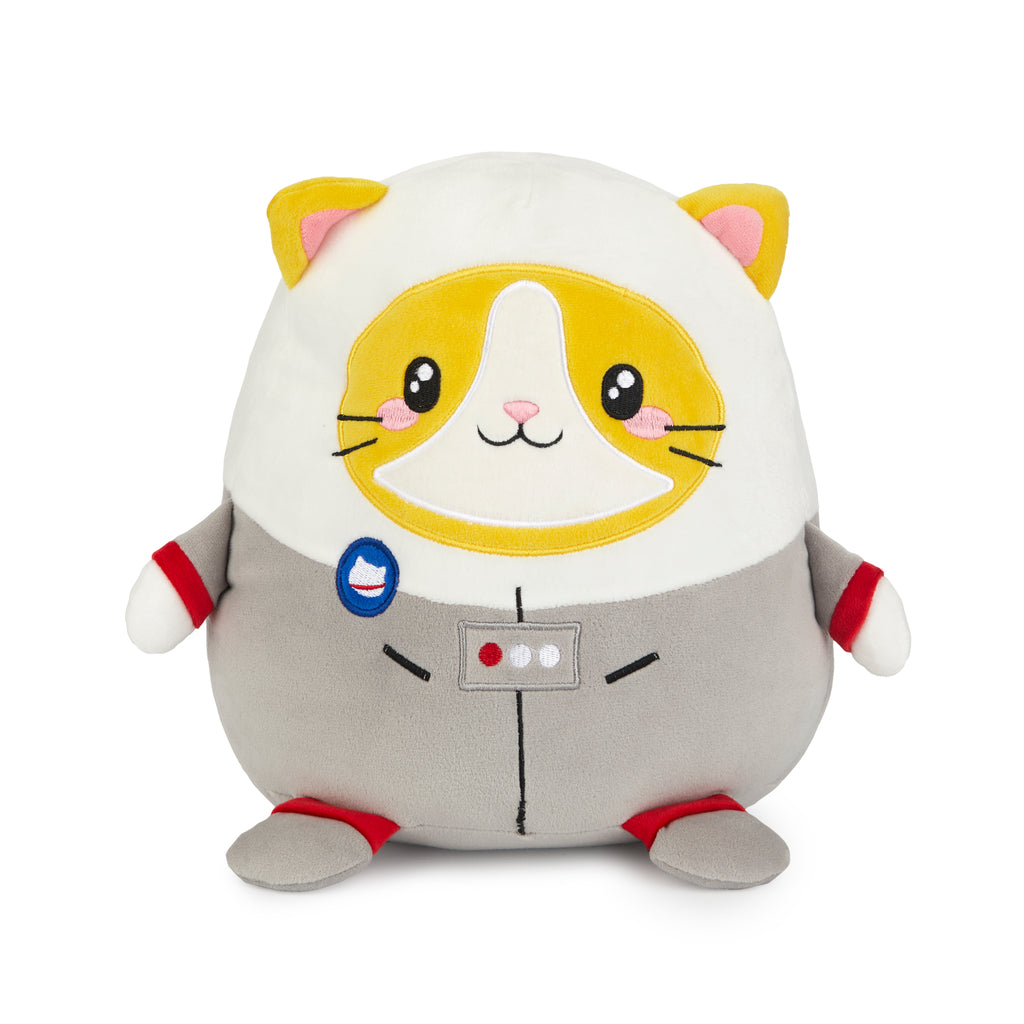 Fluffy Astrocat Cushion