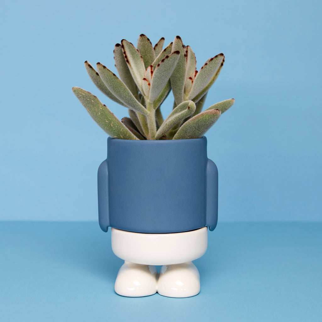 Mr. Standy Mini Plant Pot