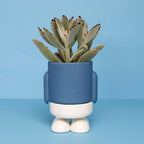 Mini pot de fleurs Mr. Standy