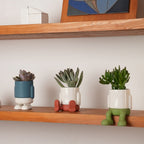 Mr. Standy Mini Plant Pot