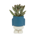 Mr. Standy Mini Plant Pot