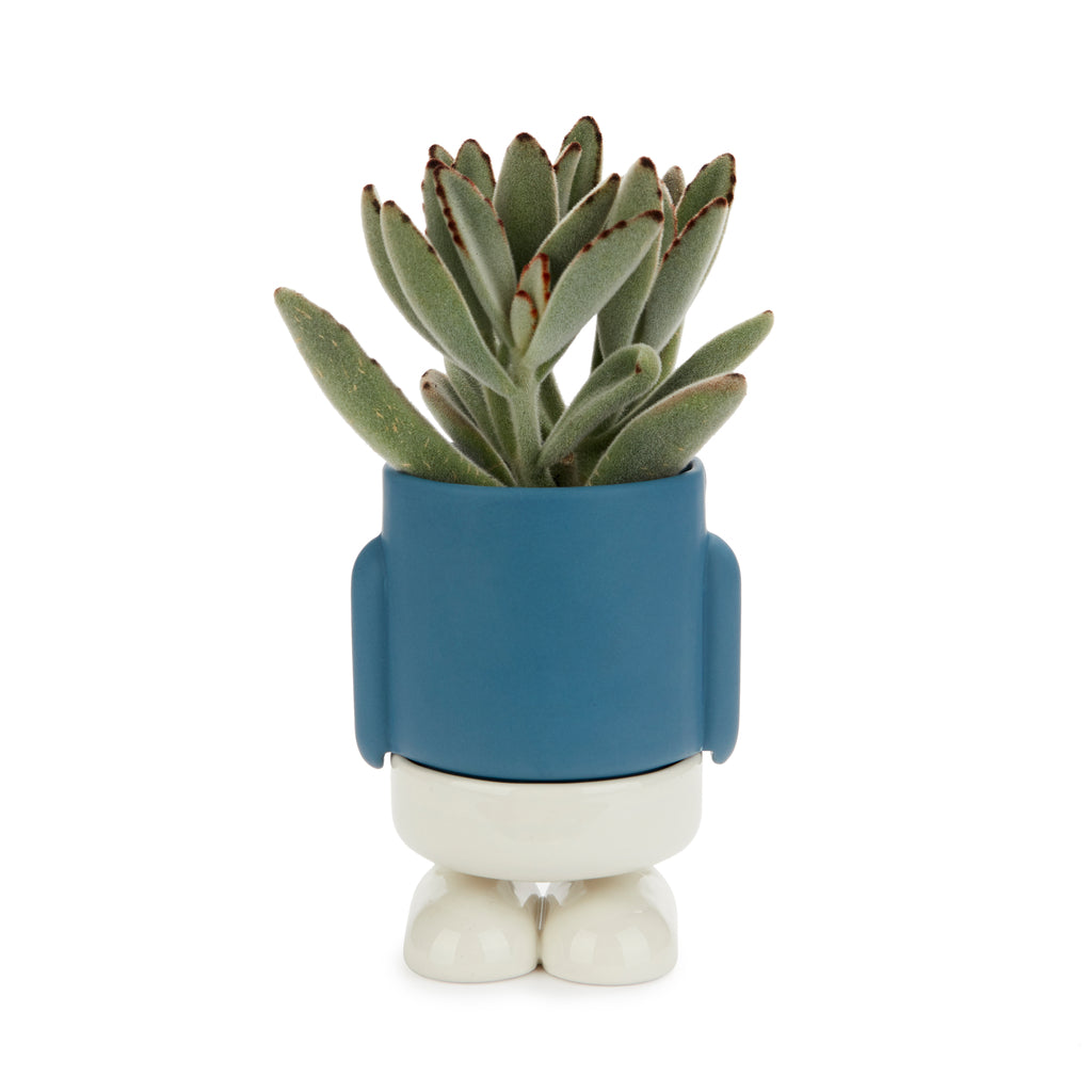 Mr. Standy Mini Plant Pot