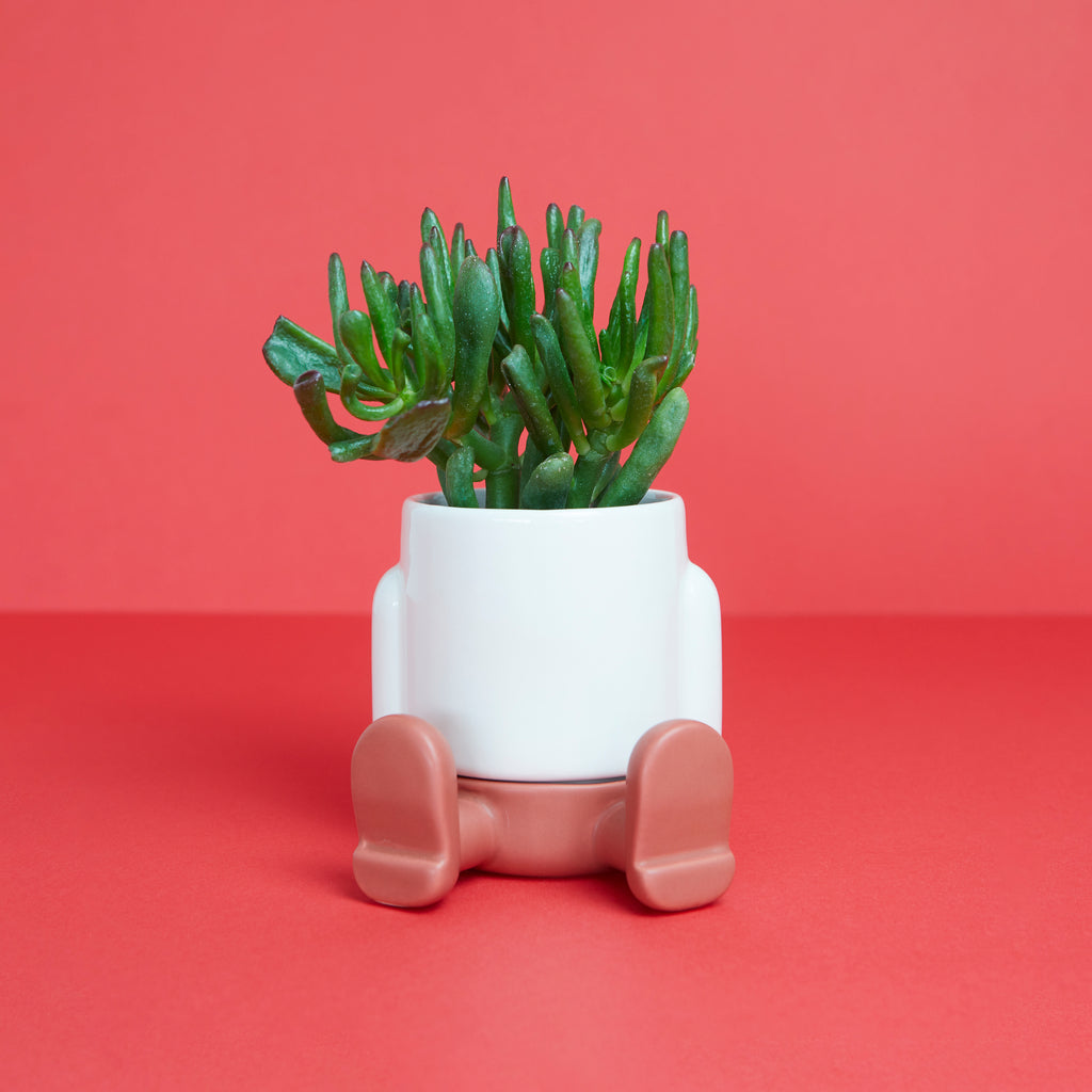 Mr. Sitty Mini Plant Pot