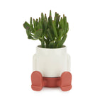 Mr. Sitty Mini Plant Pot