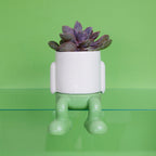 Mr. Dangly Mini Plant Pot