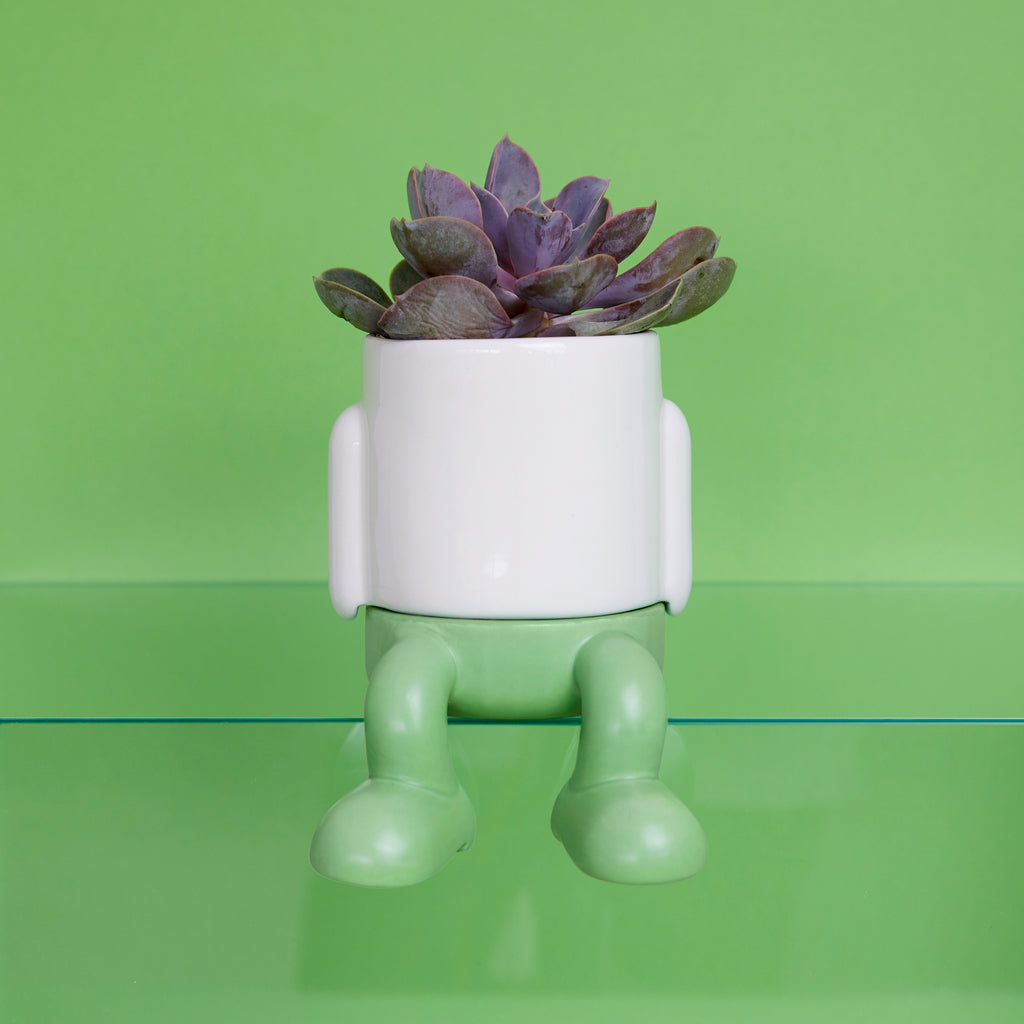 Mr. Dangly Mini Plant Pot