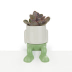 Mr. Dangly Mini Plant Pot