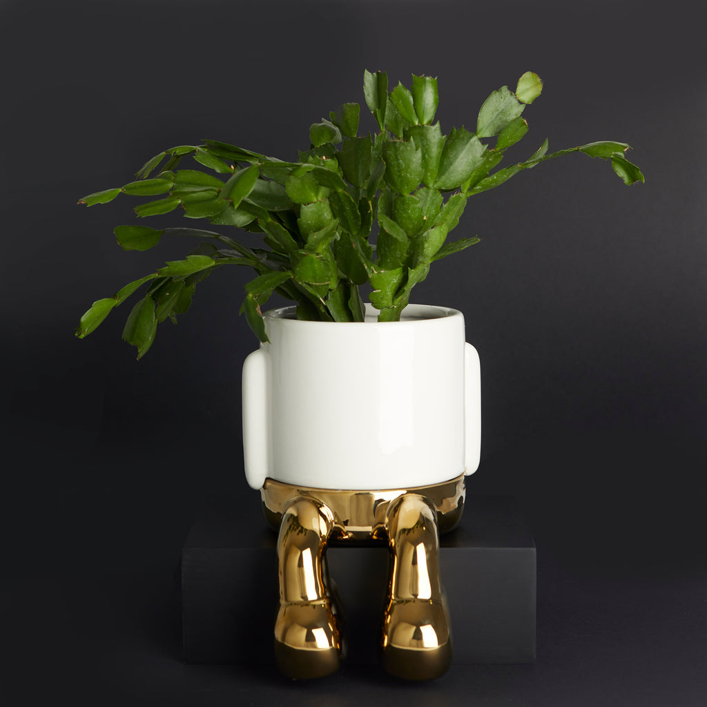 Mr. Dangly Plant Pot