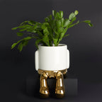 Mr. Dangly Plant Pot
