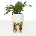 Mr. Dangly Plant Pot