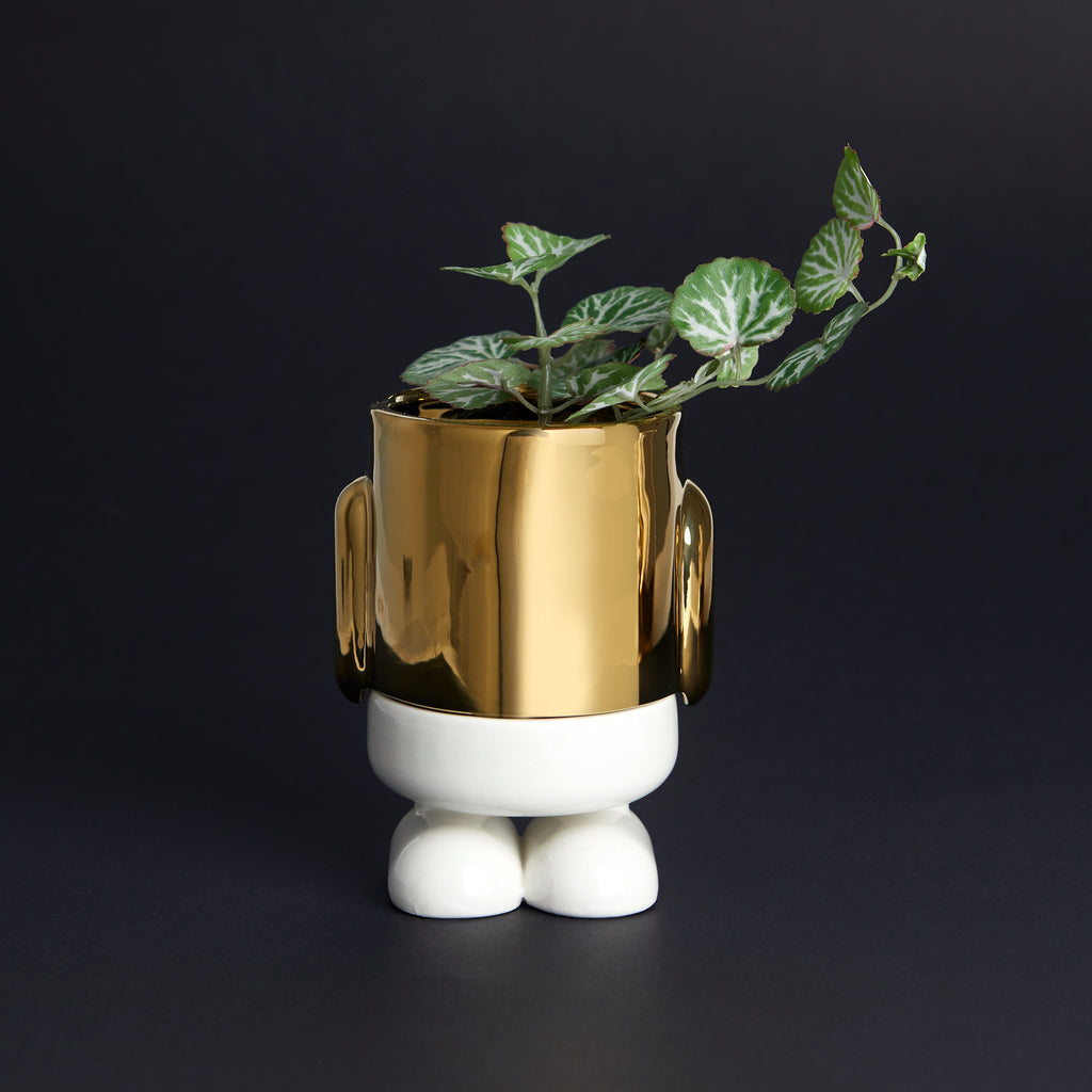 Mr. Standy Mini Plant Pot