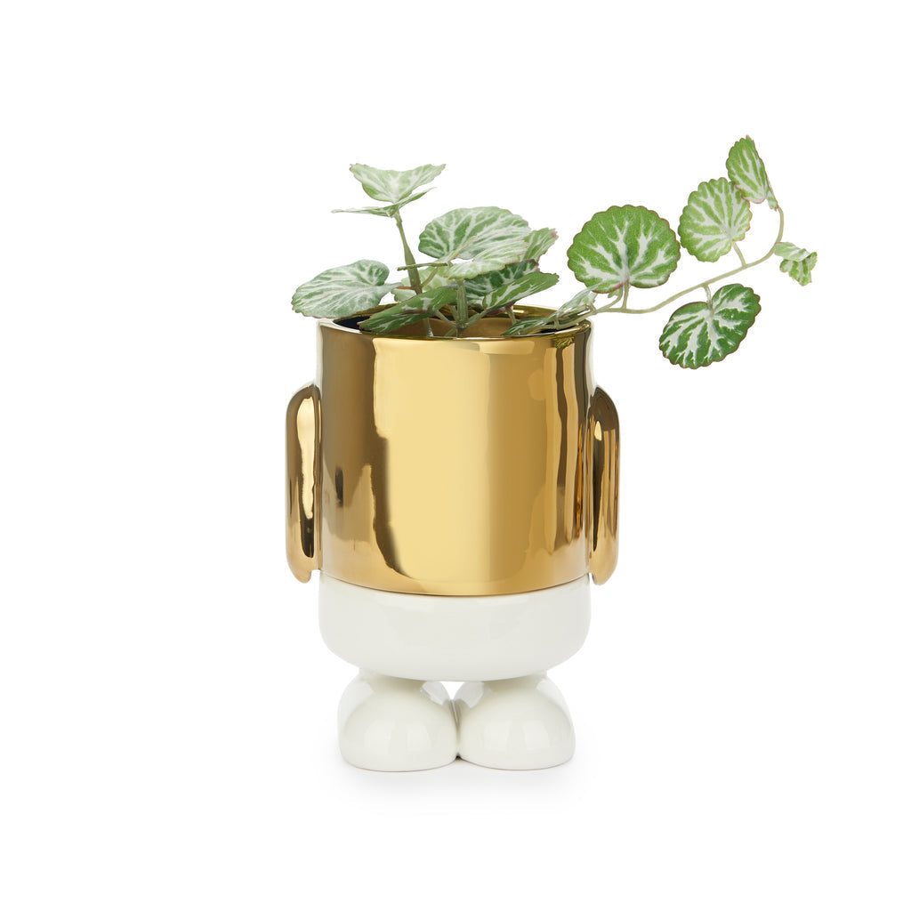 Mr. Standy Mini Plant Pot