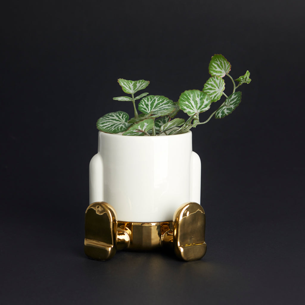 Mr. Sitty Mini Plant Pot