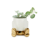 Mr. Sitty Mini Plant Pot