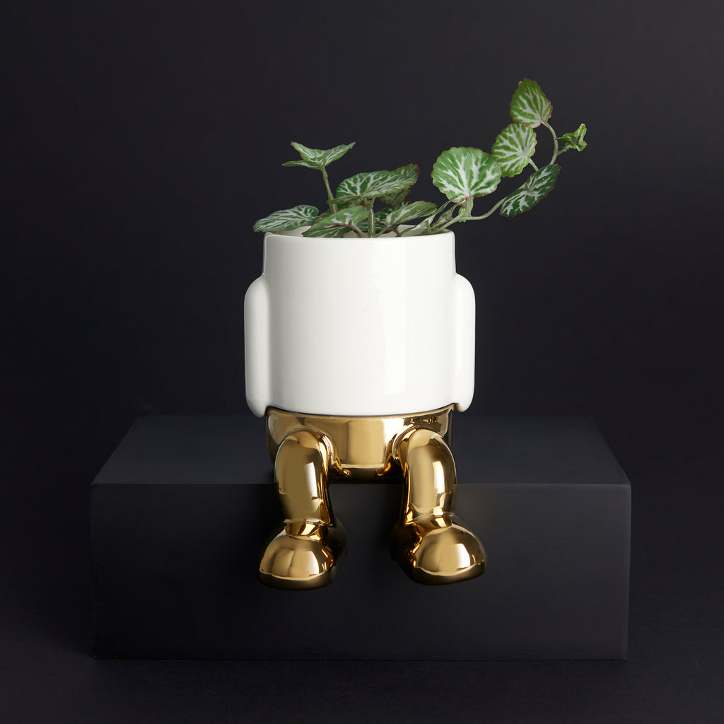 Mr. Dangly Mini Plant Pot