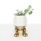 Mr. Dangly Mini Plant Pot