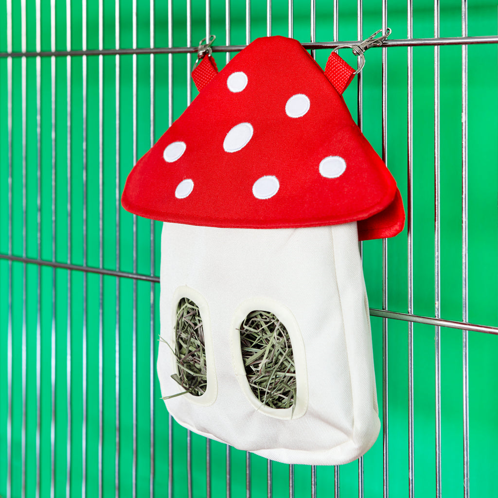Mushroom Bag