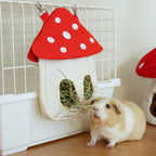 Mushroom Bag