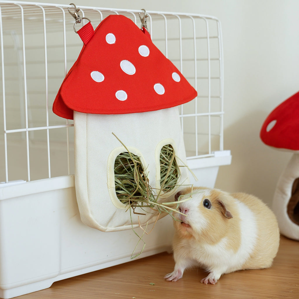 Sac Mushroom